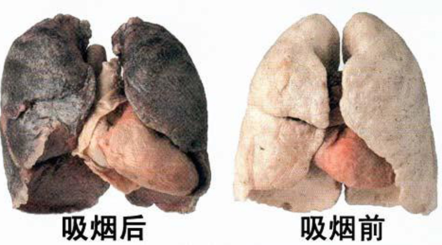21.jpg 21.jpg