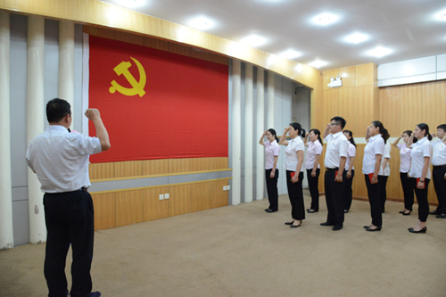 我院举行纪念建党95周年暨七一宣誓仪式