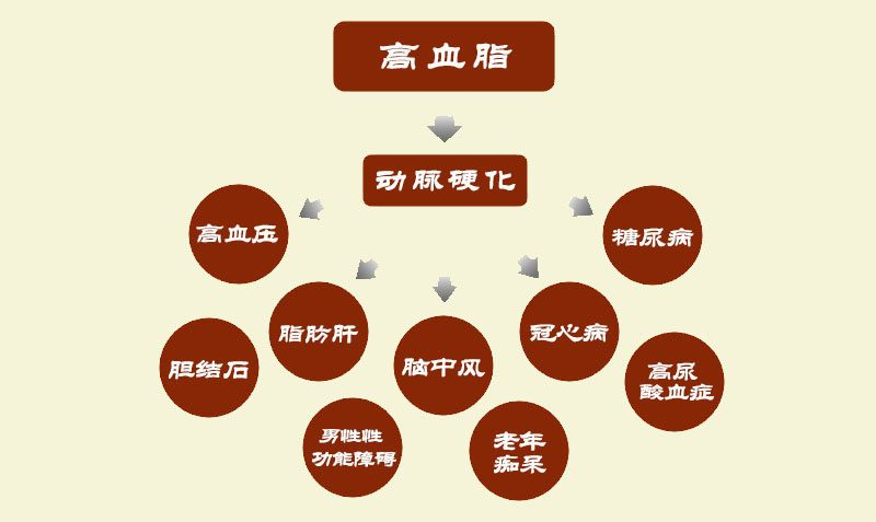 【降血脂就吃它】得了高血脂，不妨多吃这6种食物，或能让血脂平稳不升高