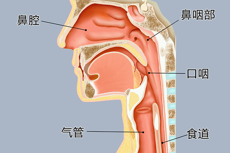 6.png 6.png